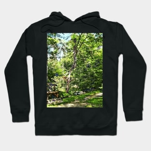 Path in the Park Hoodie